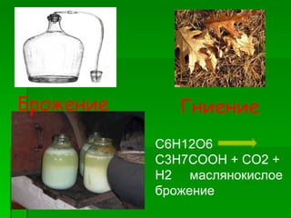 Брожение      Гниение
           C6H12O6
           C3H7COOH + CO2 +
           H2 маслянокислое
           брожение
 