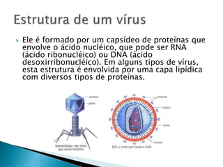  Ele é formado por um capsídeo de proteínas que
envolve o ácido nucléico, que pode ser RNA
(ácido ribonucléico) ou DNA (ácido
desoxirribonucléico). Em alguns tipos de vírus,
esta estrutura é envolvida por uma capa lipídica
com diversos tipos de proteínas.
 