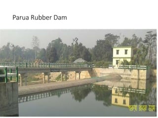 Parua Rubber Dam
 