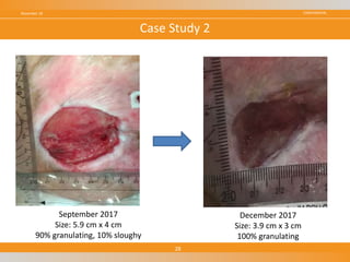 CONFIDENTIALNovember 18
28
Case Study 2
September 2017
Size: 5.9 cm x 4 cm
90% granulating, 10% sloughy
December 2017
Size: 3.9 cm x 3 cm
100% granulating
 