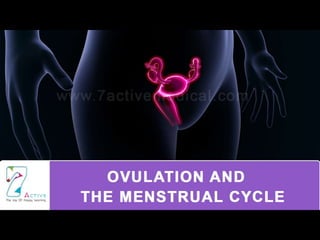 OVULATION
&
THE MENSTRUAL CYCLE
 