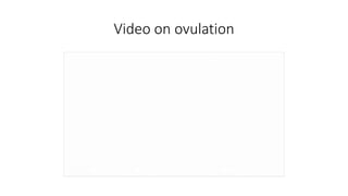 Video on ovulation 
 