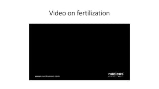 Video on fertilization 
 