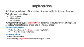 Implantation 
• Definition: attachment of the blastocyst to the epithelial lining of the uterus 
• Wall of uterus has 3 layers: 
a. Endometrium 
b. Myometrium 
c. Perimetrium 
• During menstrual cycle, endometrium becomes follicular/proliferative phase, 
secretory/progestational phase and menstrual phase 
• Proliferative phase: 
• Under the influence of estrogen secreted by follicles 
• Occur after the menstrual phase 
• Secretory phase: 
• Start after ovulation 
• Influence by progesterone secreted by corpus luteum 
 