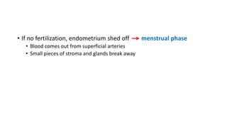 • If no fertilization, endometrium shed off menstrual phase 
• Blood comes out from superficial arteries 
• Small pieces of stroma and glands break away 
 