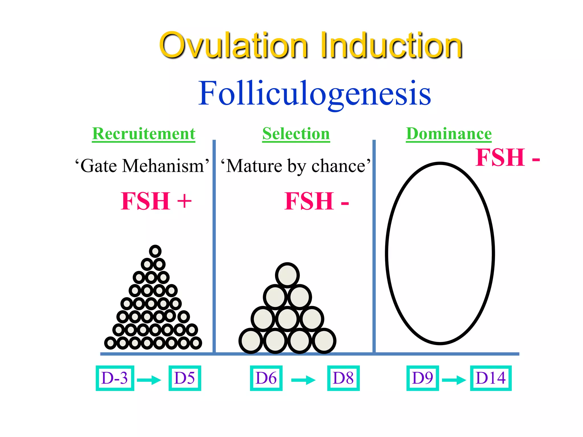 Folliculogenesis
D-3 D5 D6 D8 D9 D14
Recruitement Selection Dominance
FSH -
FSH +
FSH -
Ovulation Induction
‘Gate Mehanism’ ‘Mature by chance’
 