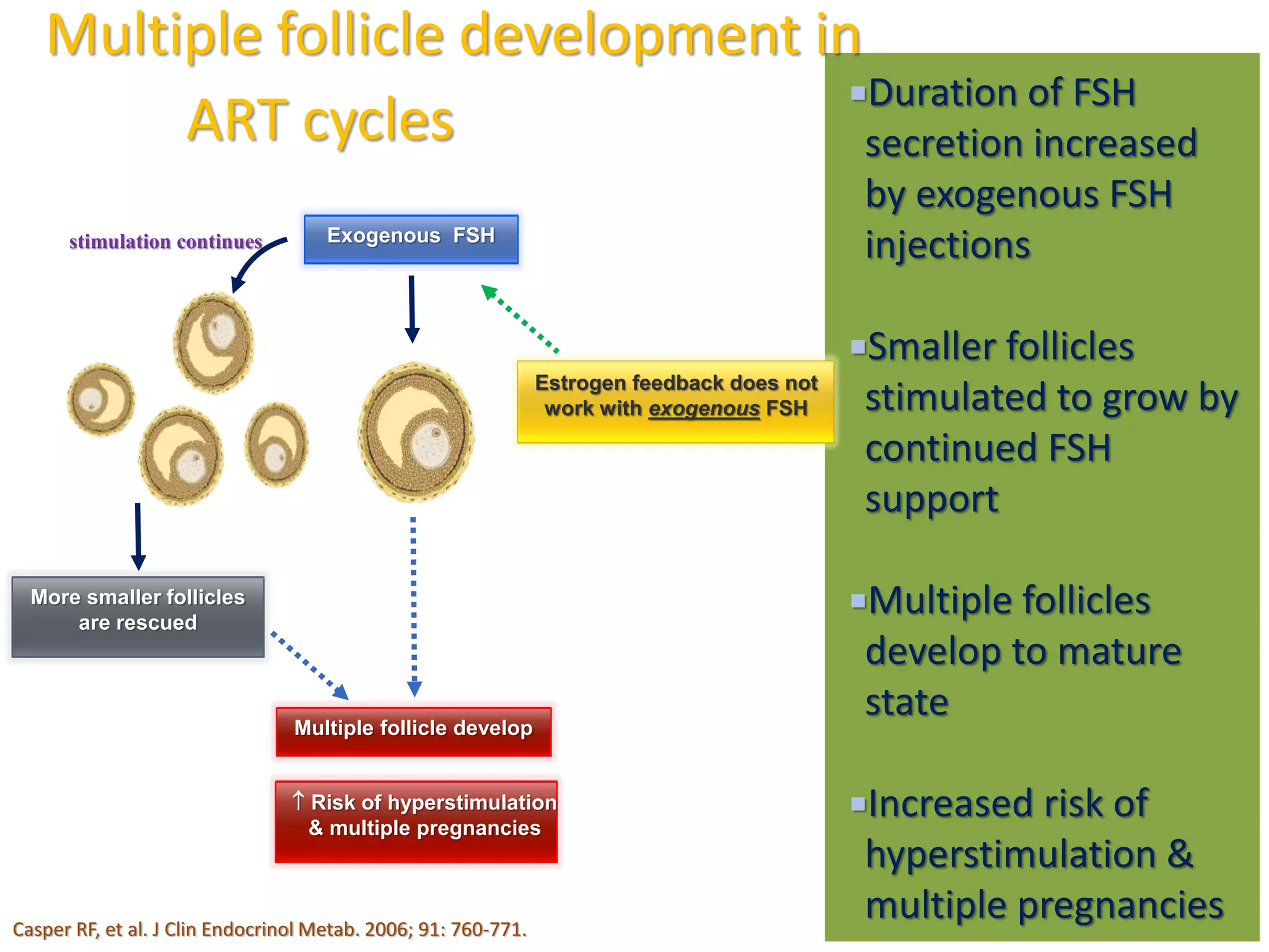 Duration of FSH
secretion increased
by exogenous FSH
injections
Smaller follicles
stimulated to grow by
continued FSH
support
Multiple follicles
develop to mature
state
Increased risk of
hyperstimulation &
multiple pregnancies
Exogenous FSH
Estrogen feedback does not
work with exogenous FSH
More smaller follicles
are rescued
Multiple follicle develop
stimulation continues
 Risk of hyperstimulation
& multiple pregnancies
Multiple follicle development in
ART cycles
Casper RF, et al. J Clin Endocrinol Metab. 2006; 91: 760-771.
 