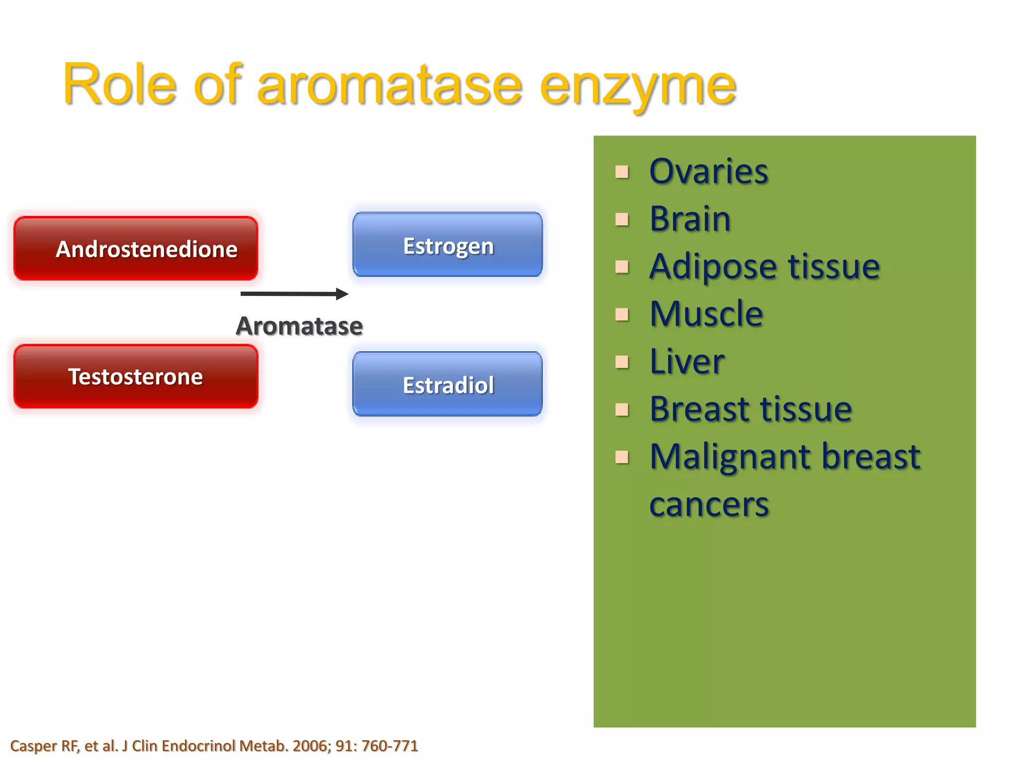  Ovaries
 Brain
 Adipose tissue
 Muscle
 Liver
 Breast tissue
 Malignant breast
cancers
Androstenedione
Testosterone
Estrogen
Estradiol
Aromatase
Role of aromatase enzyme
Casper RF, et al. J Clin Endocrinol Metab. 2006; 91: 760-771
 