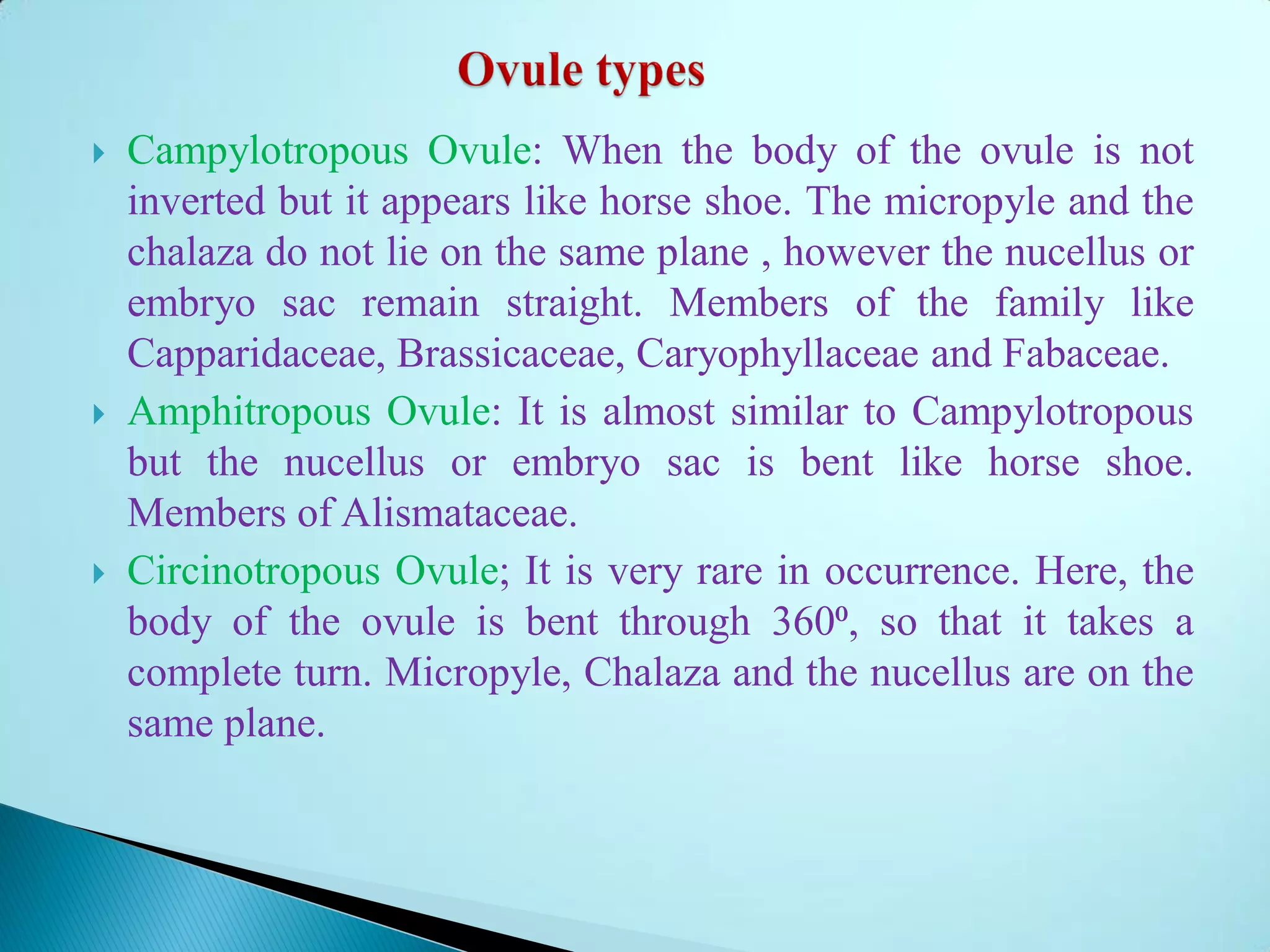  Campylotropous Ovule: When the body of the ovule is not
inverted but it appears like horse shoe. The micropyle and the
chalaza do not lie on the same plane , however the nucellus or
embryo sac remain straight. Members of the family like
Capparidaceae, Brassicaceae, Caryophyllaceae and Fabaceae.
 Amphitropous Ovule: It is almost similar to Campylotropous
but the nucellus or embryo sac is bent like horse shoe.
Members of Alismataceae.
 Circinotropous Ovule; It is very rare in occurrence. Here, the
body of the ovule is bent through 360⁰, so that it takes a
complete turn. Micropyle, Chalaza and the nucellus are on the
same plane.
 