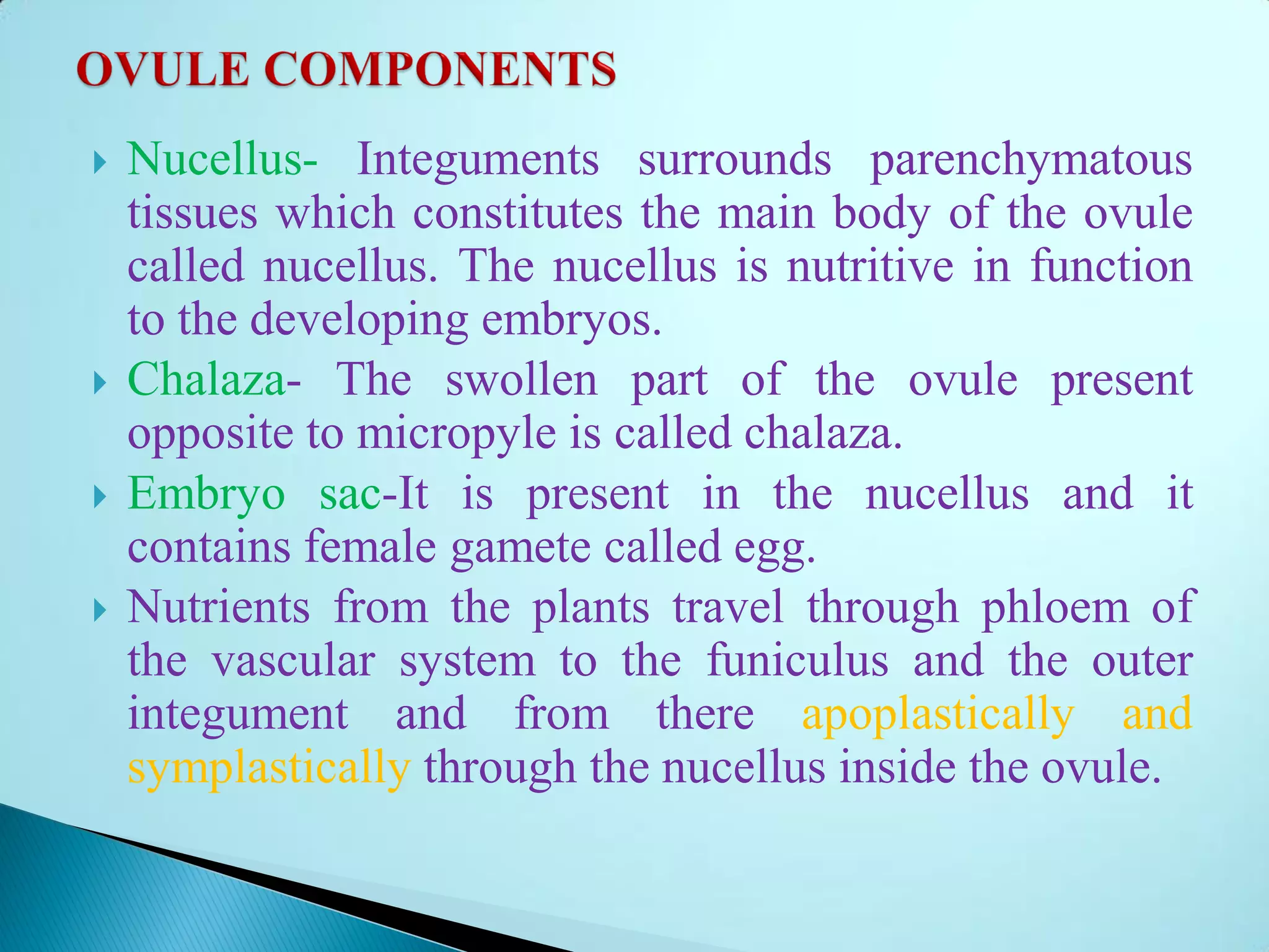  Nucellus- Integuments surrounds parenchymatous
tissues which constitutes the main body of the ovule
called nucellus. The nucellus is nutritive in function
to the developing embryos.
 Chalaza- The swollen part of the ovule present
opposite to micropyle is called chalaza.
 Embryo sac-It is present in the nucellus and it
contains female gamete called egg.
 Nutrients from the plants travel through phloem of
the vascular system to the funiculus and the outer
integument and from there apoplastically and
symplastically through the nucellus inside the ovule.
 
