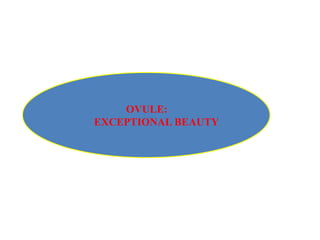 OVULE:
EXCEPTIONAL BEAUTY
 
