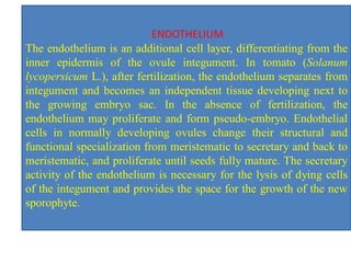 ENDOTHELIUM
The endothelium is an additional cell layer, differentiating from the
inner epidermis of the ovule integument. In tomato (Solanum
lycopersicum L.), after fertilization, the endothelium separates from
integument and becomes an independent tissue developing next to
the growing embryo sac. In the absence of fertilization, the
endothelium may proliferate and form pseudo-embryo. Endothelial
cells in normally developing ovules change their structural and
functional specialization from meristematic to secretary and back to
meristematic, and proliferate until seeds fully mature. The secretary
activity of the endothelium is necessary for the lysis of dying cells
of the integument and provides the space for the growth of the new
sporophyte.
 