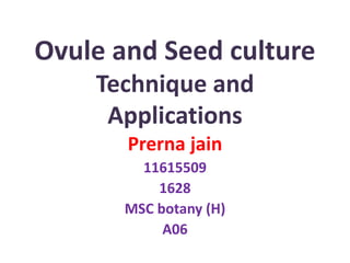 Ovule and Seed culture
Technique and
Applications
Prerna jain
11615509
1628
MSC botany (H)
A06
 