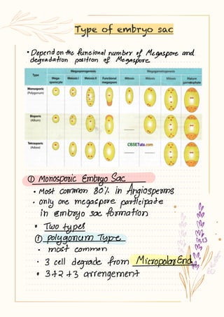 Type of embryo sac
 
