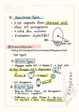 Bi-sporic Embryo Sac :-
Embryo Sac Developed From two functional Megaspore Nuclei
 