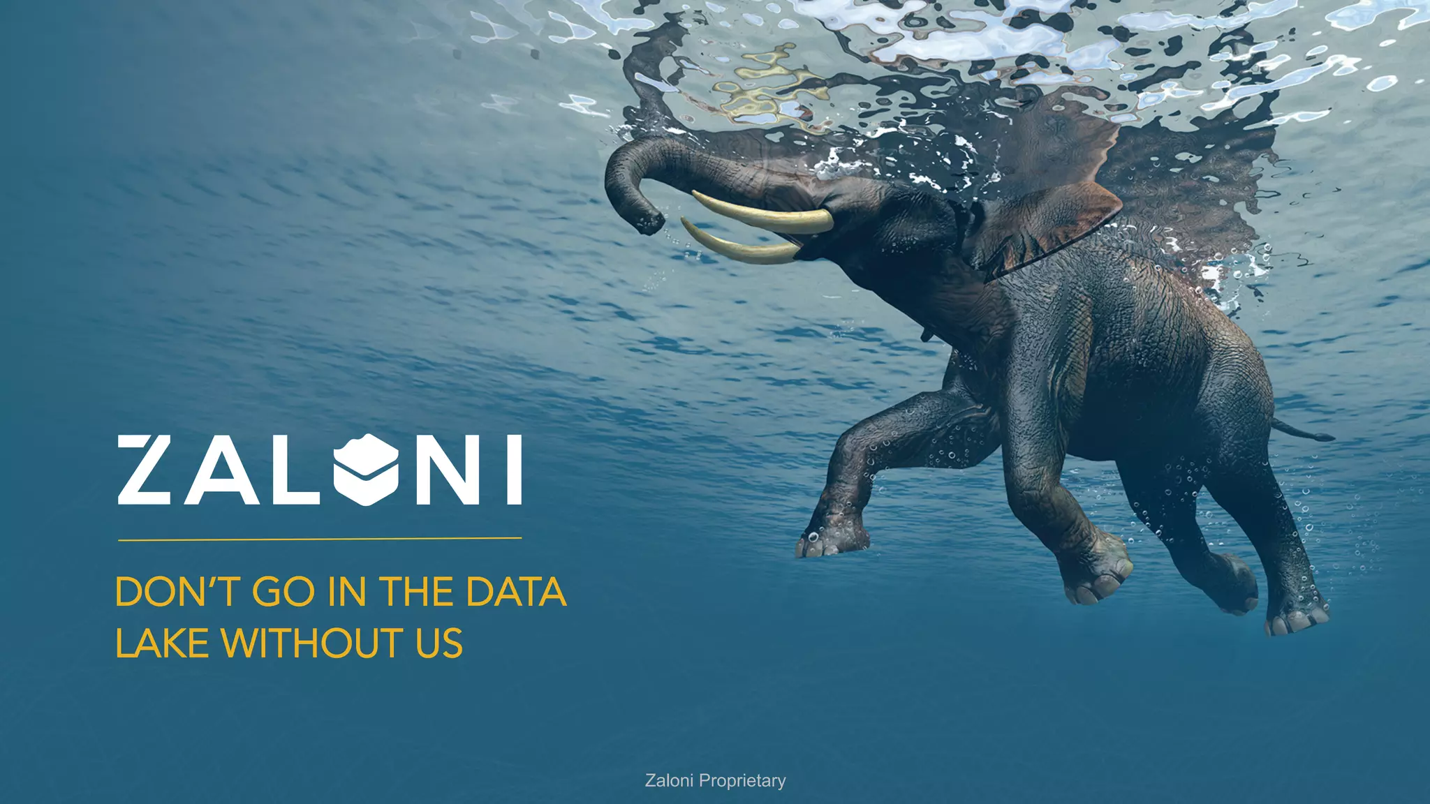 DON’T GO IN THE DATA
LAKE WITHOUT US
Zaloni Proprietary
 