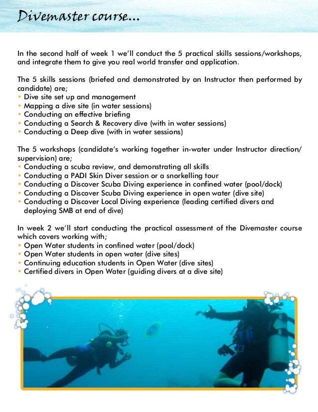 Dive master resume