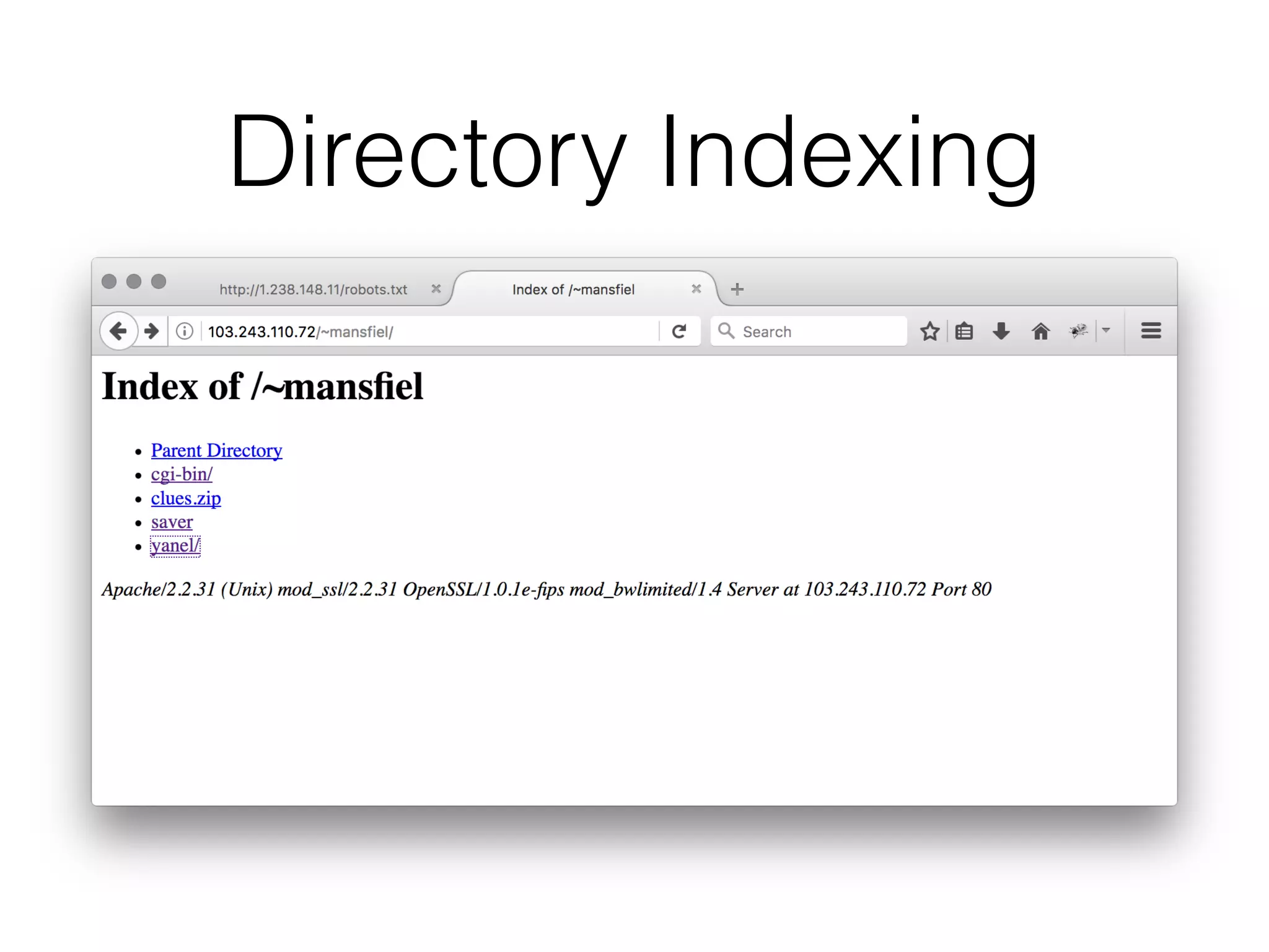 Directory Indexing
 
