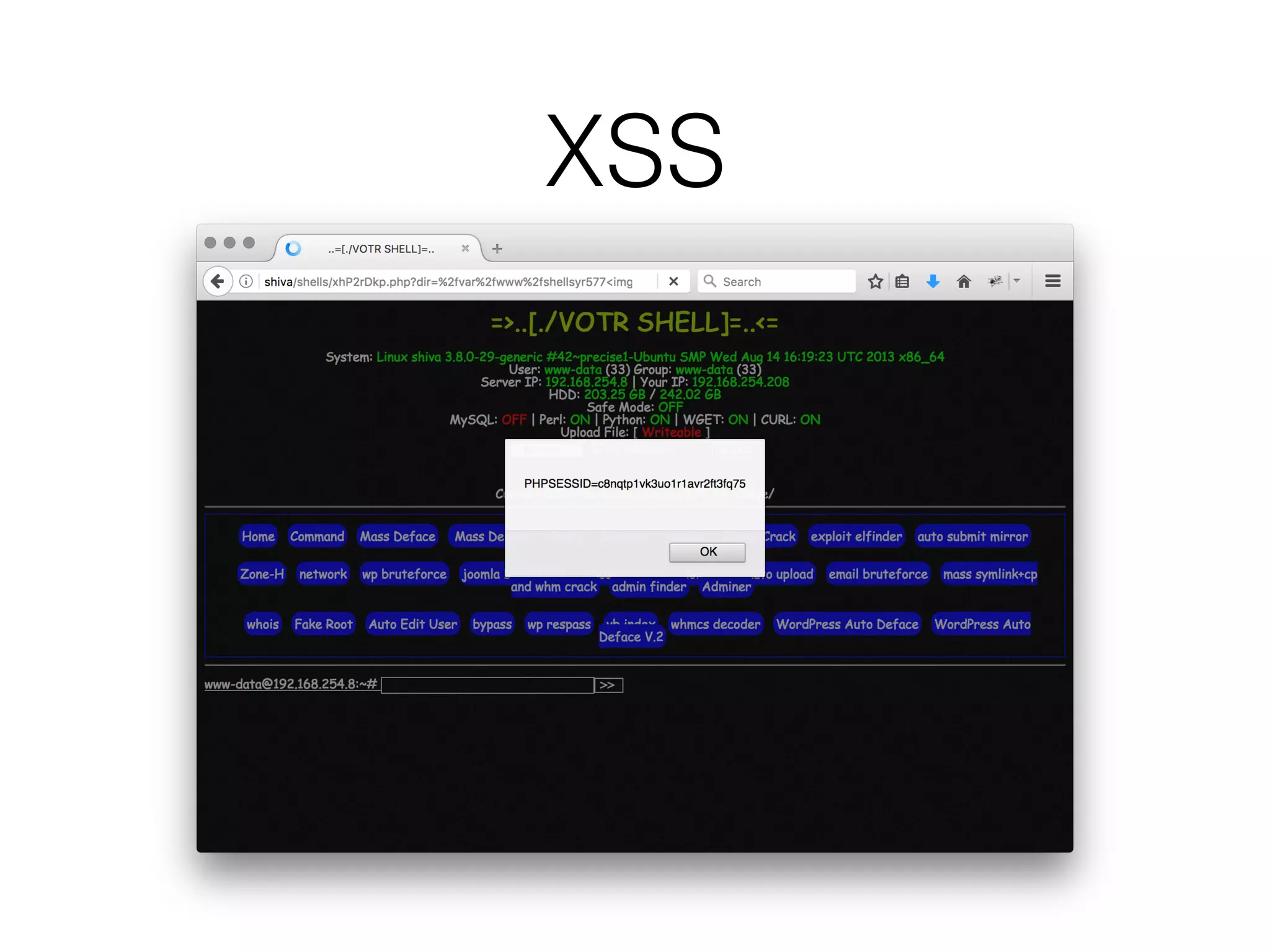 XSS
 
