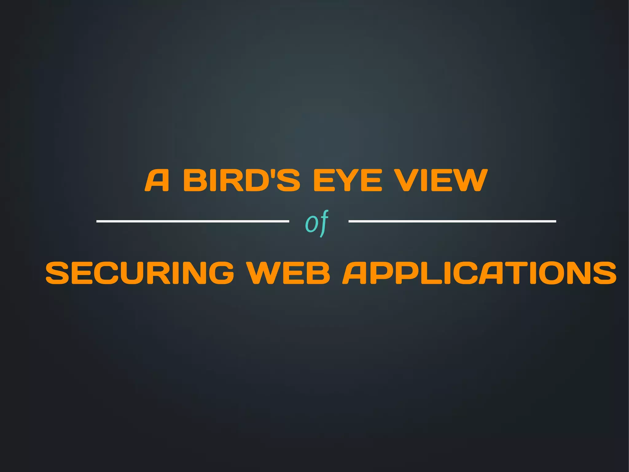 A BIRD'S EYE VIEW
            of
SECURING WEB APPLICATIONS
 