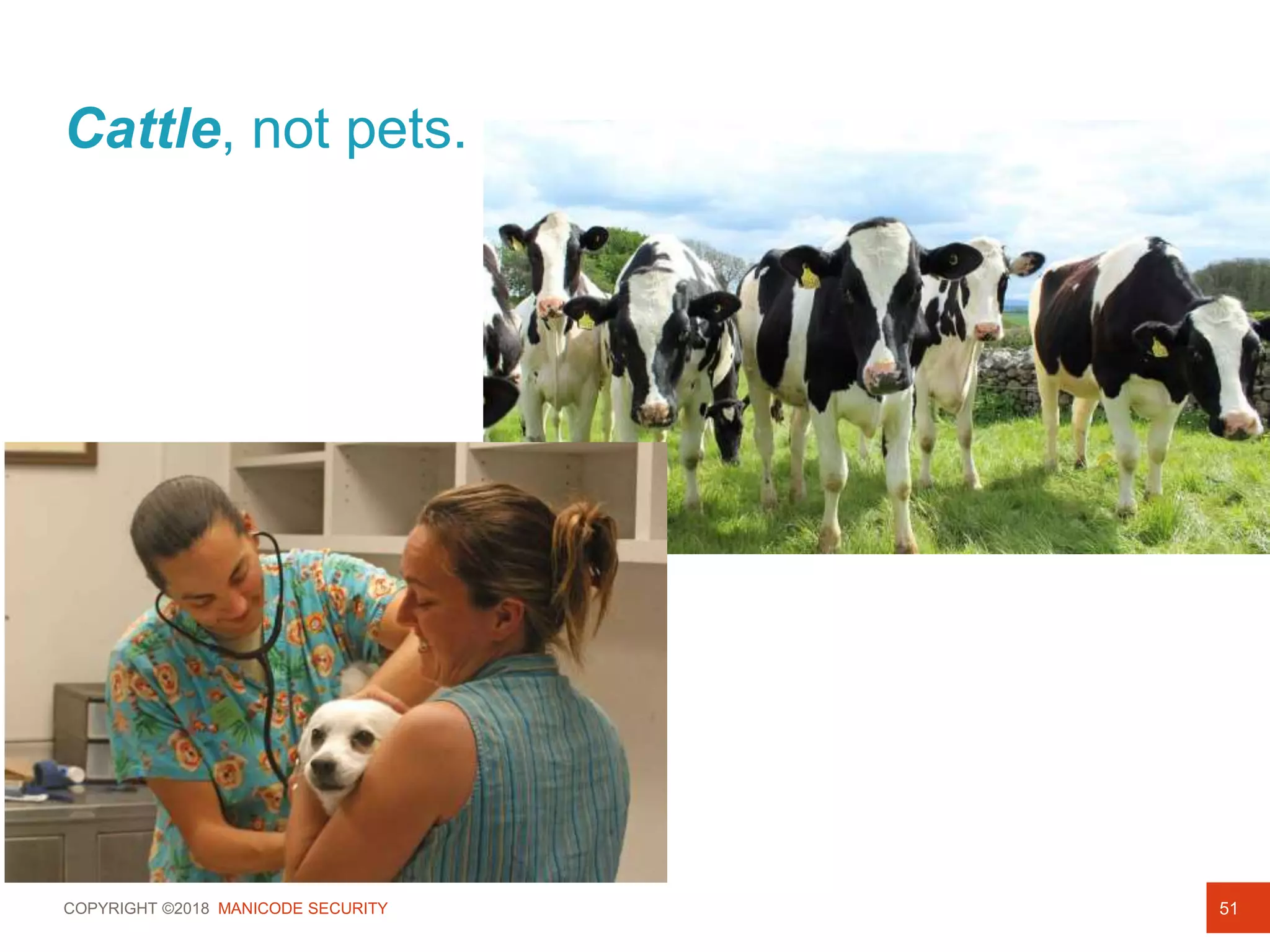 COPYRIGHT ©2018 MANICODE SECURITY
Cattle, not pets.
51
 