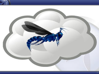 OWASP WTE - Now in the Cloud!