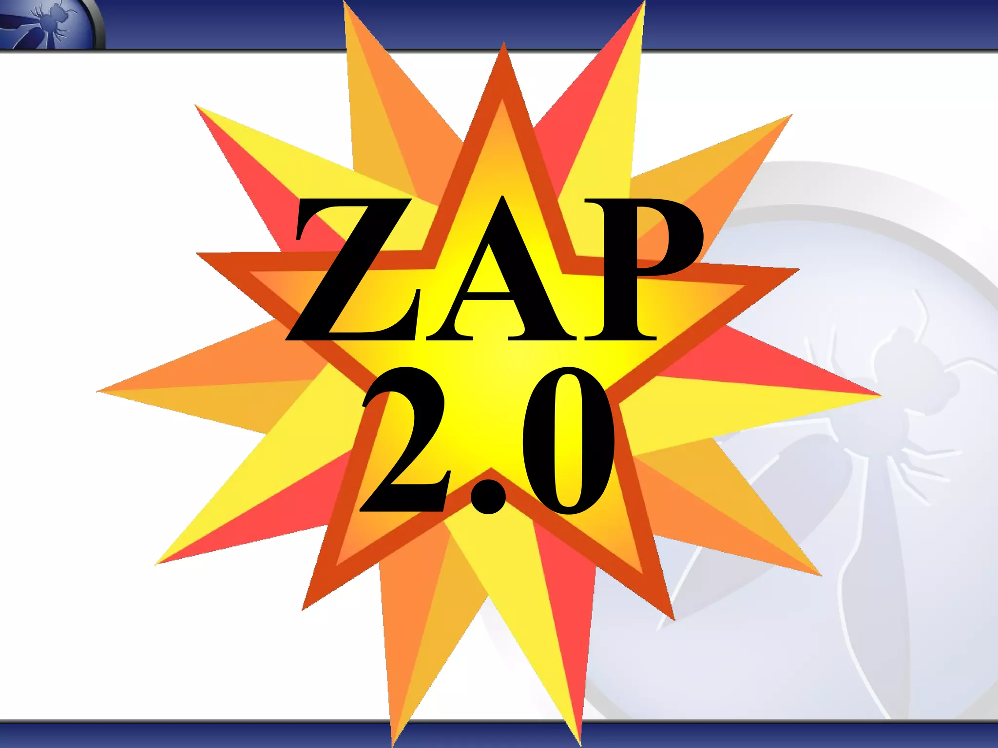 ZAP
 2.0
 