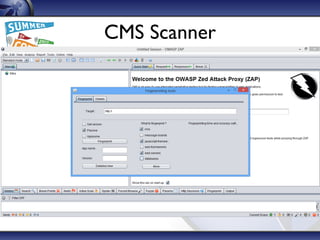 CMS Scanner
 