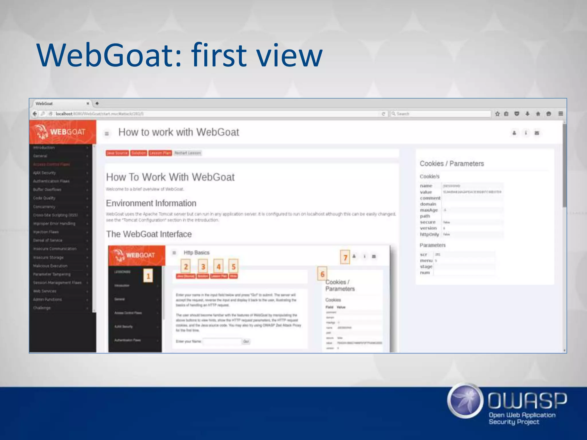 WebGoat: first view
 