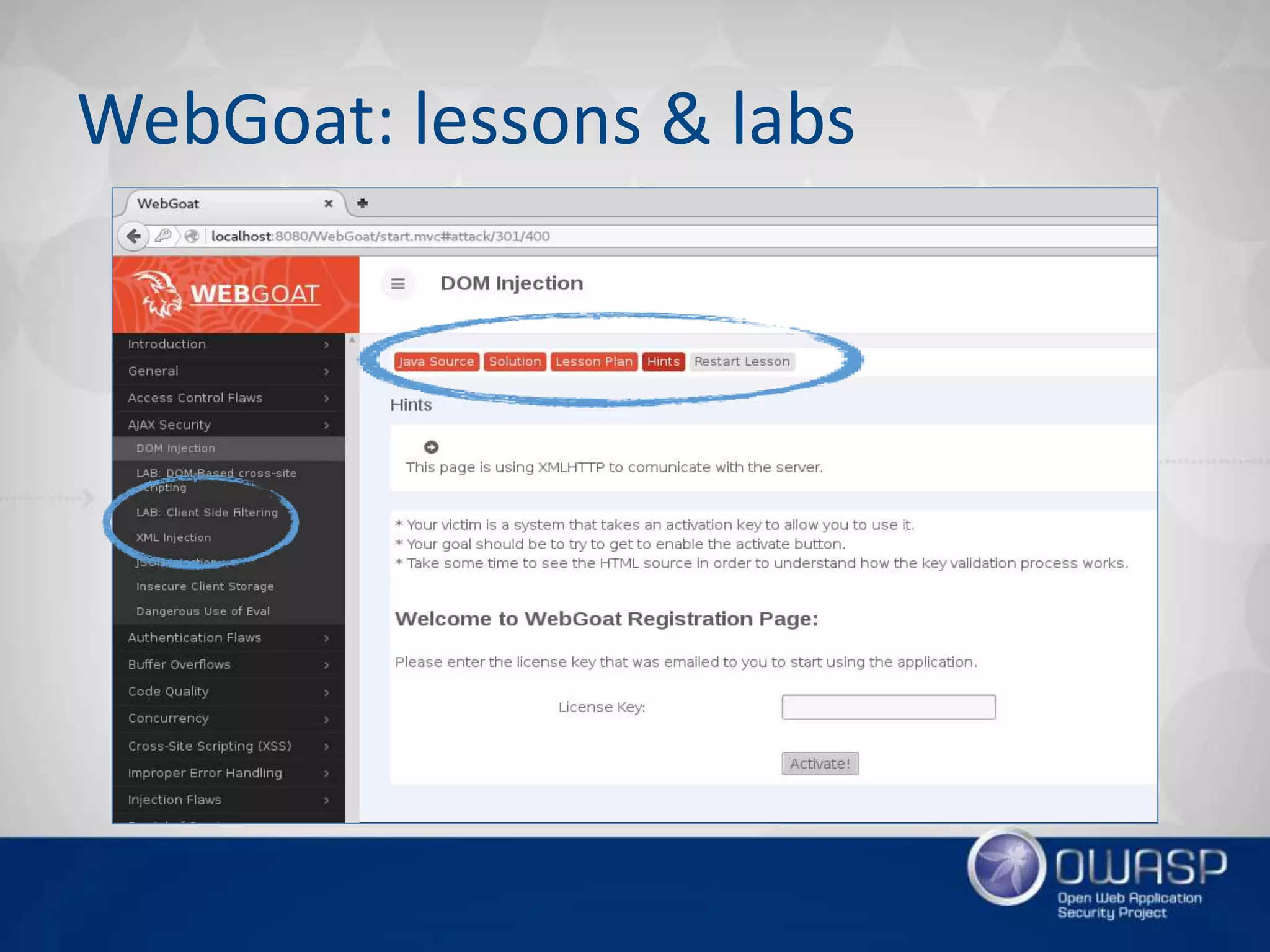 WebGoat: lessons & labs
 