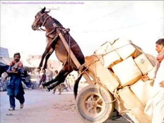 https://s3.amazonaws.com/pbblogassets/uploads/2013/04/donkey-pulling-cart.jpg

 