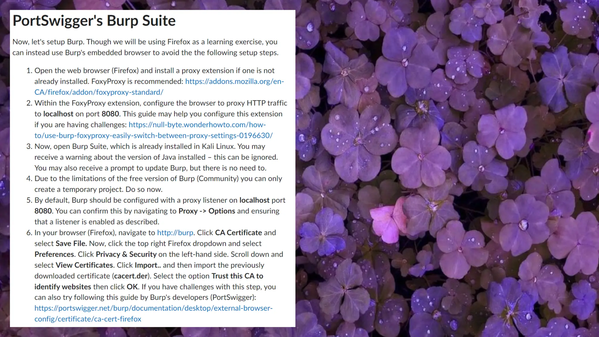 OWASP Juice Shop Reference: How to set up OWASP Juice Shop (reference ONLY)