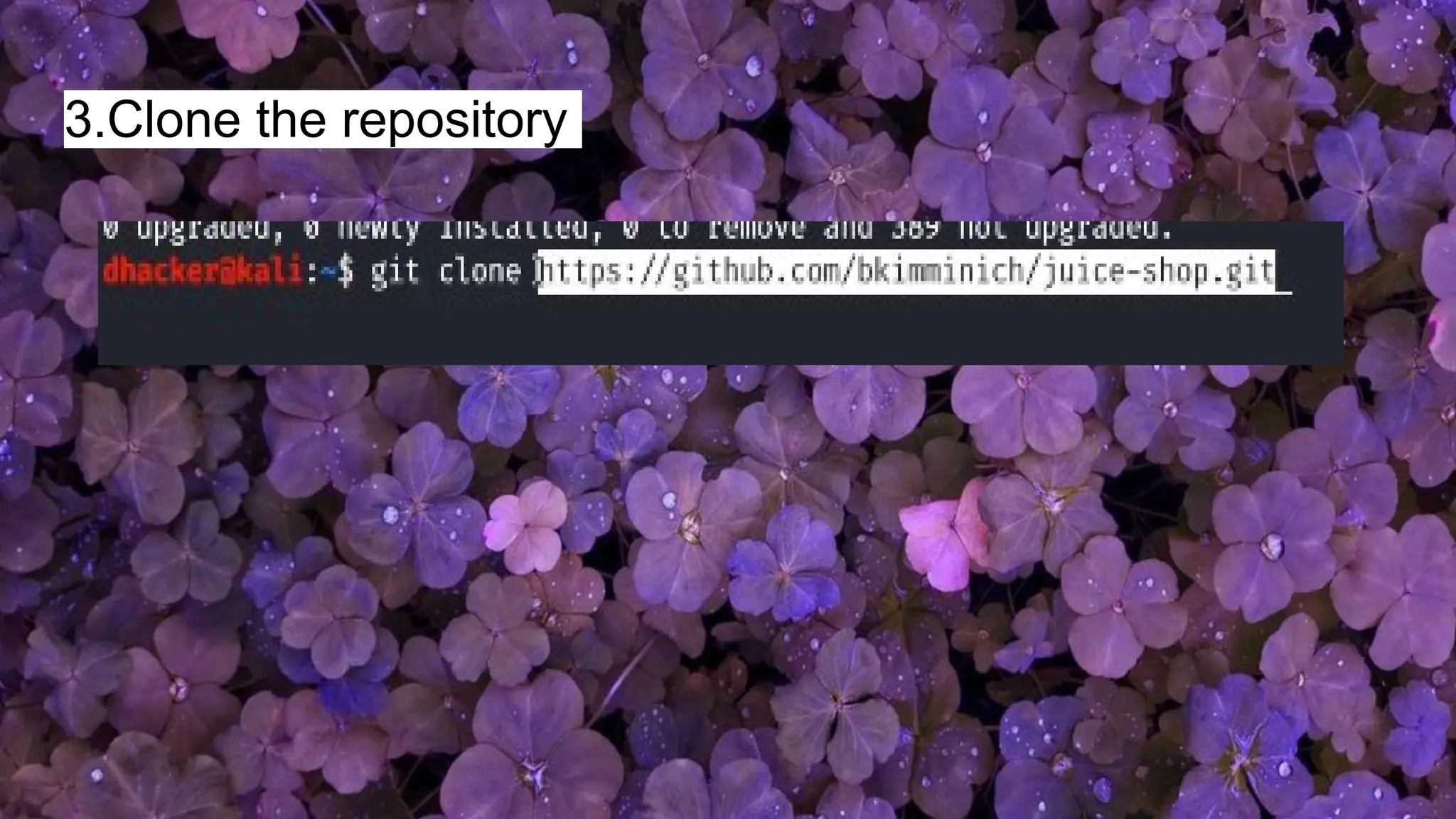 3.Clone the repository