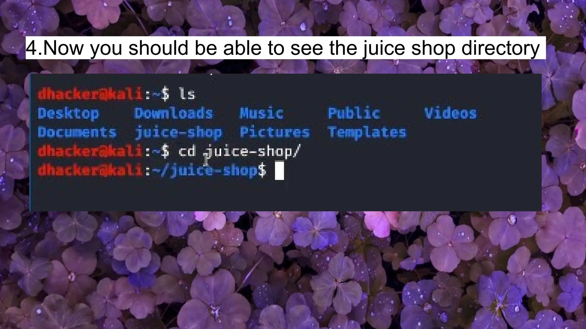 4.Now you should be able to see the juice shop directory