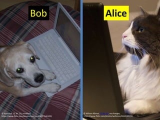 “On the Internet, nobody knows
you’re a dog”
PGP – OWASP Austin 2015 Page 2© ttarasiuk, CC BY 2.0, modified,
https://www.f...