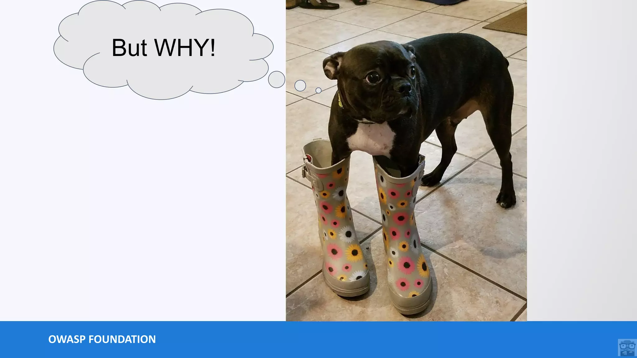 OWASP FOUNDATION
But WHY!
 