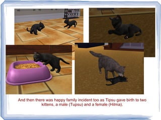 And then there was happy family incident too as Tipsu gave birth to two kittens, a male (Tupsu) and a female (Hilma). 