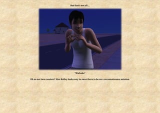 But that’s not all....




                                         “Mwhaha”

Oh no not two roosters? Also Rolley looks way to sweet here to be on a reconnaissance mission.
 