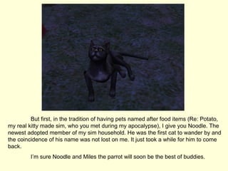 But first, in the tradition of having pets named after food items (Re: Potato, my real kitty made sim, who you met during my apocalypse), I give you Noodle. The newest adopted member of my sim household. He was the first cat to wander by and the coincidence of his name was not lost on me. It just took a while for him to come back. I’m sure Noodle and Miles the parrot will soon be the best of buddies. 