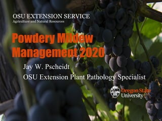 OSU EXTENSION SERVICE
Agriculture and Natural Resources
Powdery Mildew
Management 2020
Jay W. Pscheidt
OSU Extension Plant Pathology Specialist
 