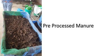 Pre Processed Manure
 