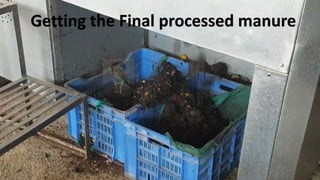Getting the Final processed manure
 