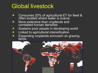Improving livestock water productivity under changing climate