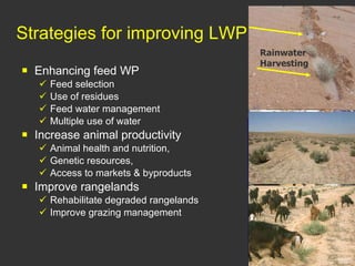 Improving livestock water productivity under changing climate