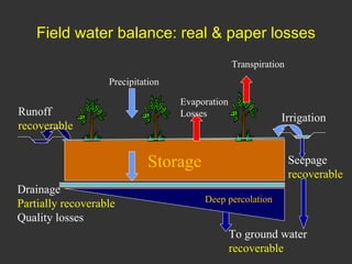Improving livestock water productivity under changing climate
