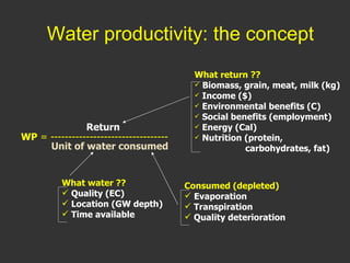 Improving livestock water productivity under changing climate