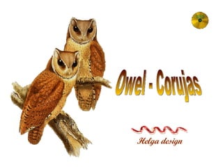 Helga design Owel - Corujas 