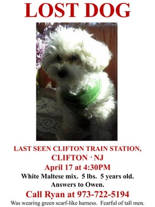LOST DOG




 LAST SEEN CLIFTON TRAIN STATION,
          CLIFTON . NJ
              April 17 at 4:30PM
    White Maltese mix. 5 lbs. 5 years old.
            Answers to Owen.
      Call Ryan at 973-722-5194
Was wearing green scarf-like harness. Fearful of tall men.
 
