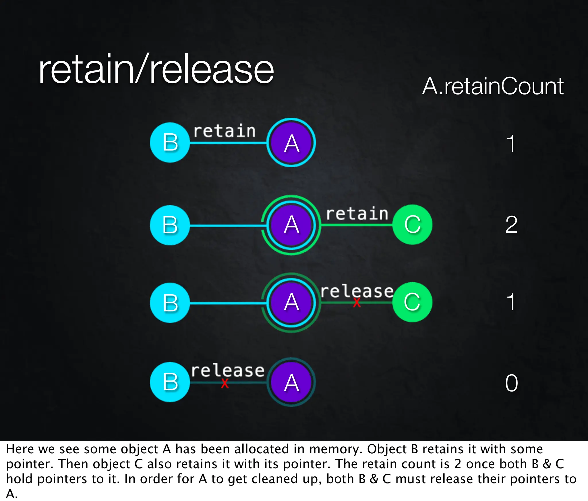 retain/release                                                   A.retainCount

                          B                   A                                    1


                          B                   A                   C                2


                          B                   A                   C                1


                          B                   A                                    0

Here we see some object A has been allocated in memory. Object B retains it with some
pointer. Then object C also retains it with its pointer. The retain count is 2 once both B & C
hold pointers to it. In order for A to get cleaned up, both B & C must release their pointers to
A.
 