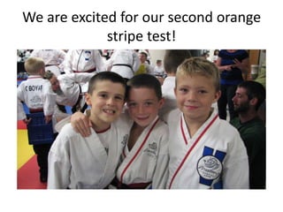We are excited for our second orange
             stripe test!
 